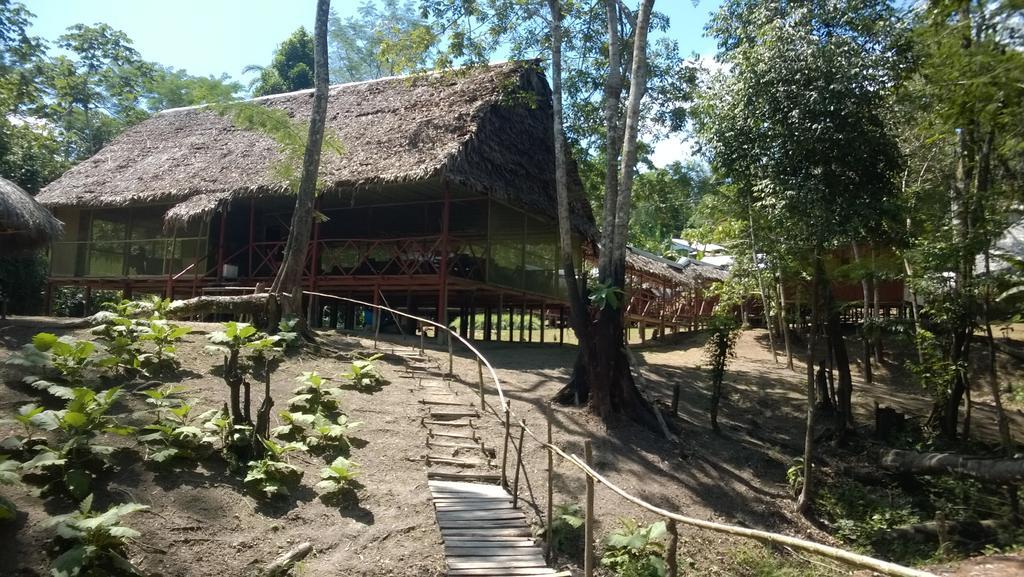 Amazon Queen Lodge Mazán Szoba fotó