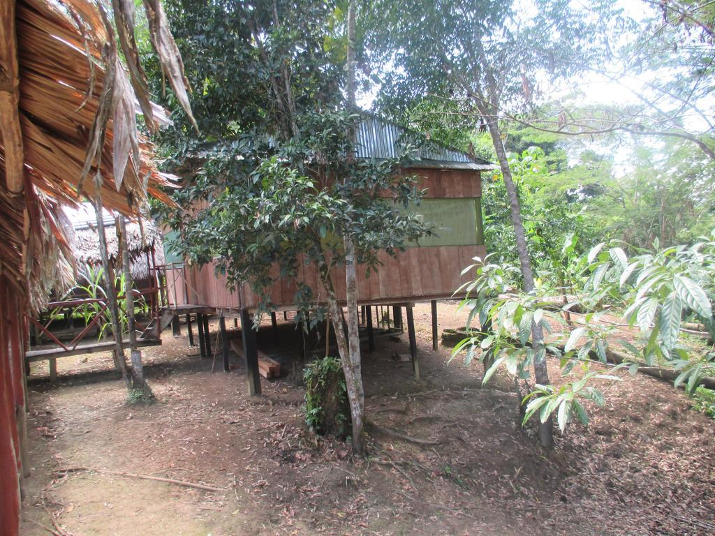 Amazon Queen Lodge Mazán Kültér fotó