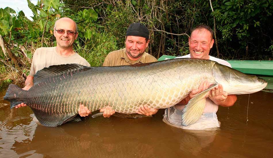 Amazon Queen Lodge Mazán Kültér fotó