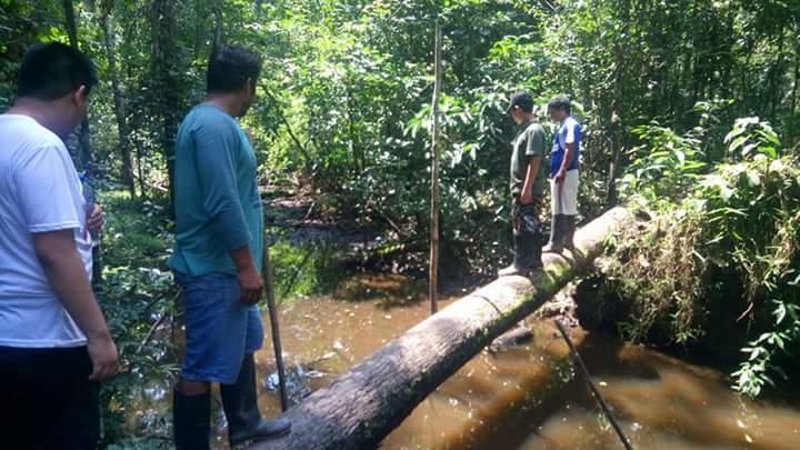 Amazon Queen Lodge Mazán Kültér fotó